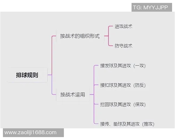 排球战术揭秘：深入解析北京排球队的制胜之道与训练秘诀