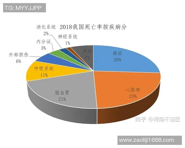 武汉滑板队的成功运营模式与发展趋势深度解析 武汉滑板队的成功运营模式与发展趋势深度解析