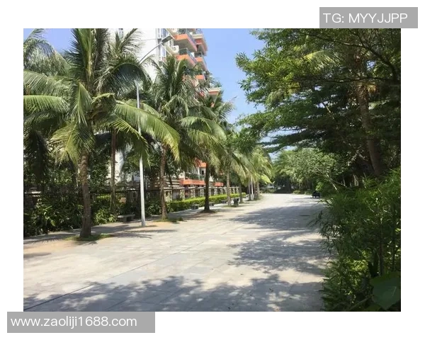 深圳极限运动队个人能力表现数据分析与提升策略探讨