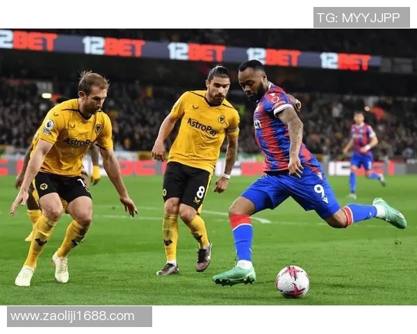 纽卡斯尔与水晶宫激战在即谁能在英超赛场上笑到最后