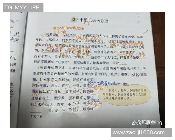 史鸿飞的传奇人生与时代变迁下的奋斗故事